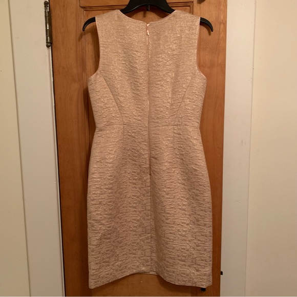 Kate Spade Della Dress Size 8 -All that glitters back zip sleeveless in Blush - Picture 5 of 16